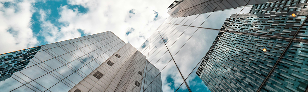 Pangea testimonial with GLP full width image