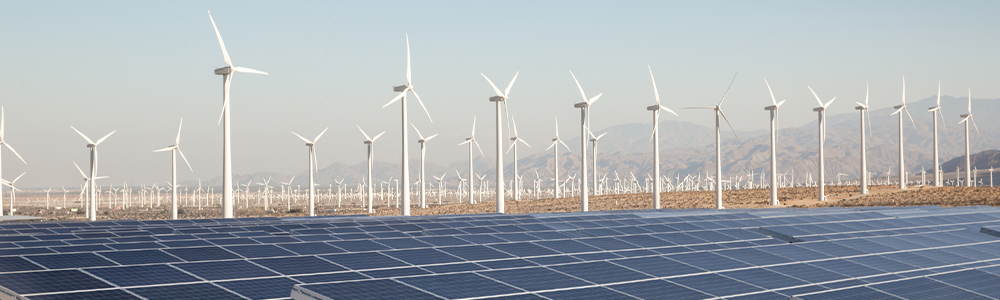 Nala Renewables Pangea Testimonial Energy Finance