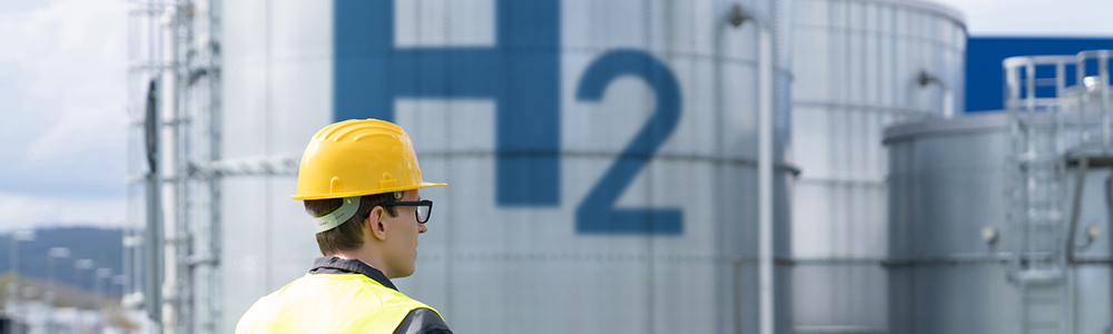 Pangea and Thyssenkrupp Nucera case study full width image